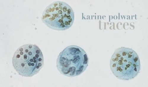 Karine Polwart - Traces (Track by Track)